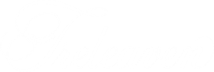 Logo footer